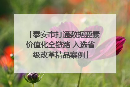 泰安市打通数据要素价值化全链路 入选省级改革精品案例